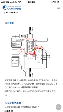 しながわ水族館に投稿された画像（2024/11/14）