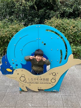 しながわ水族館に投稿された画像（2024/11/14）