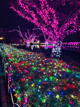 東武動物公園に投稿された画像（2024/11/14）