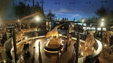 福井県立恐竜博物館に投稿された画像（2024/11/14）