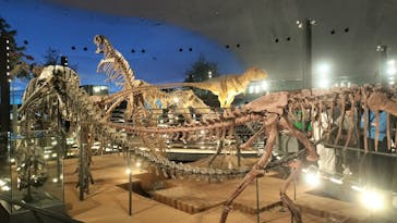 福井県立恐竜博物館に投稿された画像（2024/11/14）