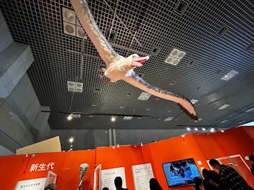 特別展「鳥 ～ゲノム解析が解き明かす新しい鳥類の系統～」国立科学博物館に投稿された画像（2024/11/14）
