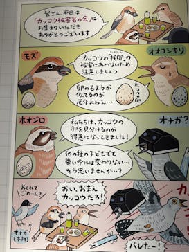 特別展「鳥 ～ゲノム解析が解き明かす新しい鳥類の系統～」国立科学博物館に投稿された画像（2024/11/14）