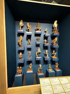 特別展「鳥 ～ゲノム解析が解き明かす新しい鳥類の系統～」国立科学博物館に投稿された画像（2024/11/14）
