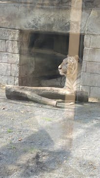 東武動物公園に投稿された画像（2024/11/14）
