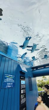 サンシャイン水族館に投稿された画像（2024/11/14）