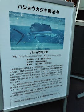 環境水族館アクアマリンふくしまに投稿された画像（2024/11/14）