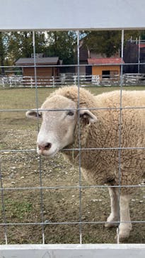 滋賀農業公園ブルーメの丘に投稿された画像（2024/11/14）