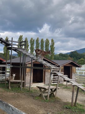 滋賀農業公園ブルーメの丘に投稿された画像（2024/11/14）