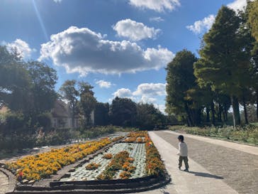 滋賀農業公園ブルーメの丘に投稿された画像（2024/11/14）