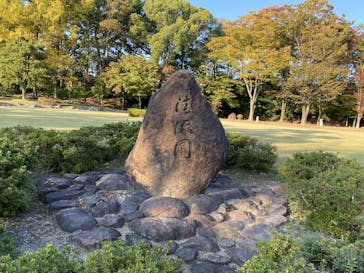 元離宮二条城に投稿された画像（2024/11/14）