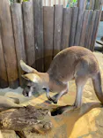 ひらかたパークに投稿された画像（2024/11/14）