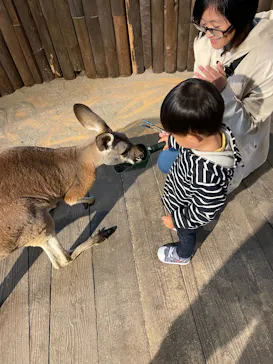 ひらかたパークに投稿された画像（2024/11/14）