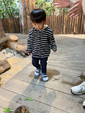 ひらかたパークに投稿された画像（2024/11/14）