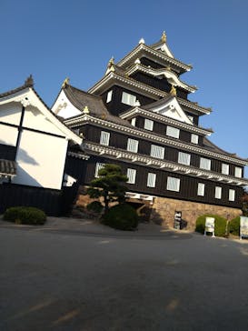 岡山城天守に投稿された画像（2024/11/14）