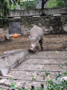 恩賜上野動物園に投稿された画像（2024/11/14）