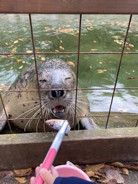 那須どうぶつ王国に投稿された画像（2024/11/14）