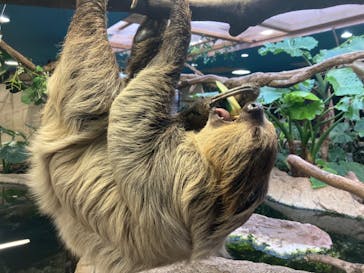 那須どうぶつ王国に投稿された画像（2024/11/14）