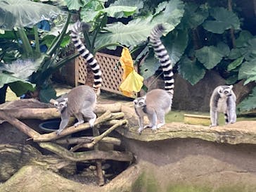 那須どうぶつ王国に投稿された画像（2024/11/14）