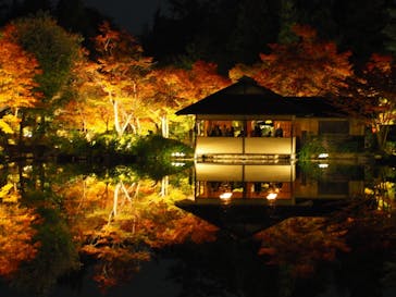 国営昭和記念公園 秋の夜散歩に投稿された画像（2024/11/14）