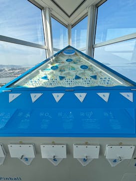 福岡タワーに投稿された画像（2024/11/14）