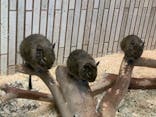 恩賜上野動物園に投稿された画像（2024/11/14）