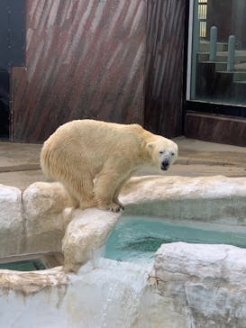 恩賜上野動物園に投稿された画像（2024/11/14）