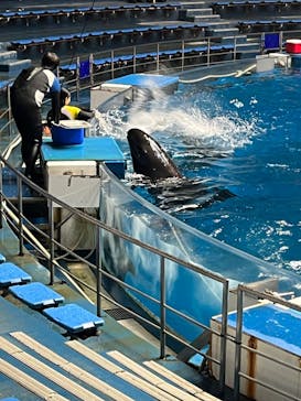 マクセル アクアパーク品川に投稿された画像（2024/11/14）