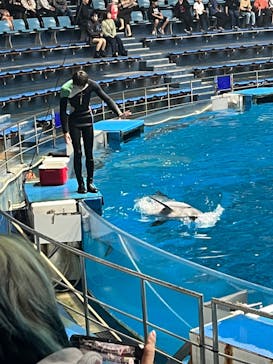 マクセル アクアパーク品川に投稿された画像（2024/11/14）