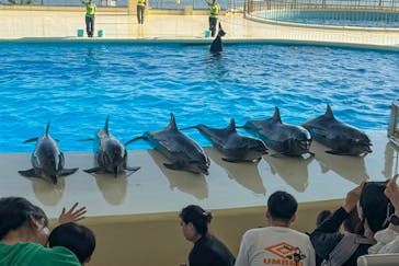 マリンワールド海の中道に投稿された画像（2024/11/14）