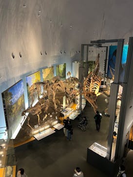 福井県立恐竜博物館に投稿された画像（2024/11/14）