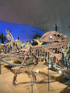 福井県立恐竜博物館に投稿された画像（2024/11/14）