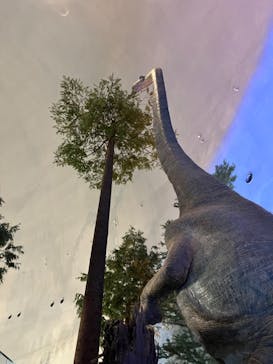 福井県立恐竜博物館に投稿された画像（2024/11/14）