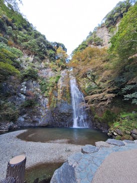 大江戸温泉物語 箕面温泉スパーガーデンに投稿された画像（2024/11/14）
