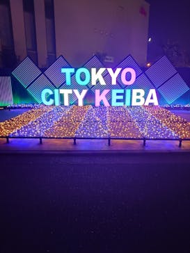 東京メガイルミに投稿された画像（2024/11/14）