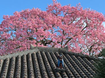 アソビュー！ポイントに投稿された画像（2024/11/14）