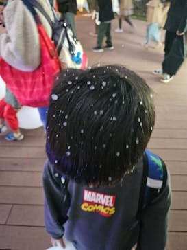 ムーミンバレーパークに投稿された画像（2024/11/14）