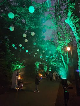 ムーミンバレーパークに投稿された画像（2024/11/14）