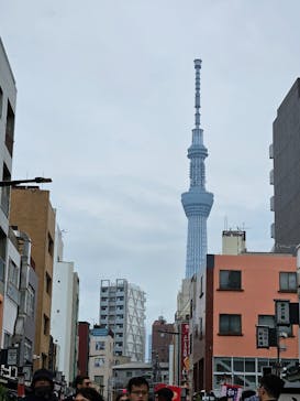 浅草花やしきに投稿された画像（2024/11/14）