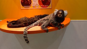 アニタッチ 東京ドームシティに投稿された画像（2024/11/14）