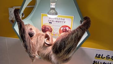 アニタッチ 東京ドームシティに投稿された画像（2024/11/14）