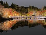 国営昭和記念公園 秋の夜散歩に投稿された画像（2024/11/15）