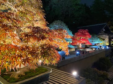 国営昭和記念公園 秋の夜散歩に投稿された画像（2024/11/14）