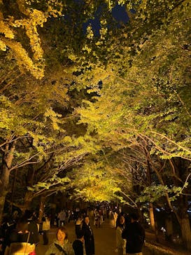 国営昭和記念公園 秋の夜散歩に投稿された画像（2024/11/14）