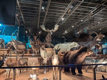 国立科学博物館に投稿された画像（2024/11/14）