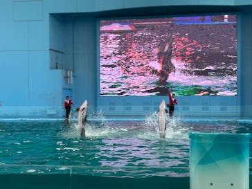 横浜・八景島シーパラダイスに投稿された画像（2024/11/14）