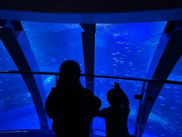 横浜・八景島シーパラダイスに投稿された画像（2024/11/14）