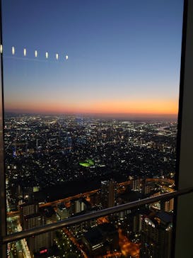 ハルカス300(展望台)に投稿された画像（2024/11/15）