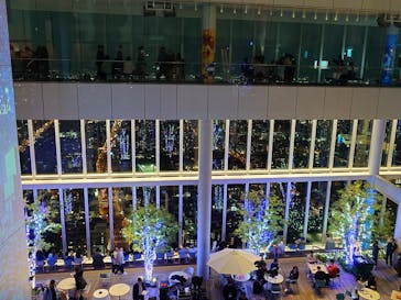 ハルカス300(展望台)に投稿された画像（2024/11/15）