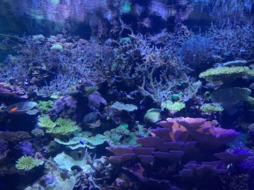 名古屋港水族館に投稿された画像（2024/11/15）